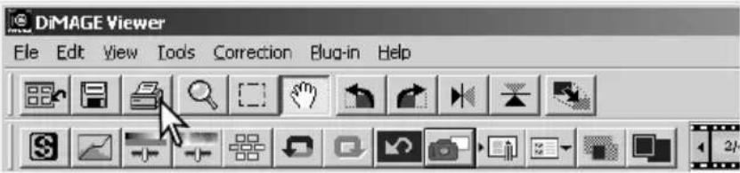 DIMAGE Viewer File Edit View Tools Correction Plug-in Help