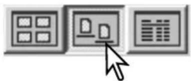 MINOLTA Dimage 7Hi - Changing the display format - 3