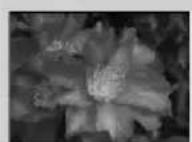 MINOLTA Dimage 7Hi - Changing the thumbnail format - 5