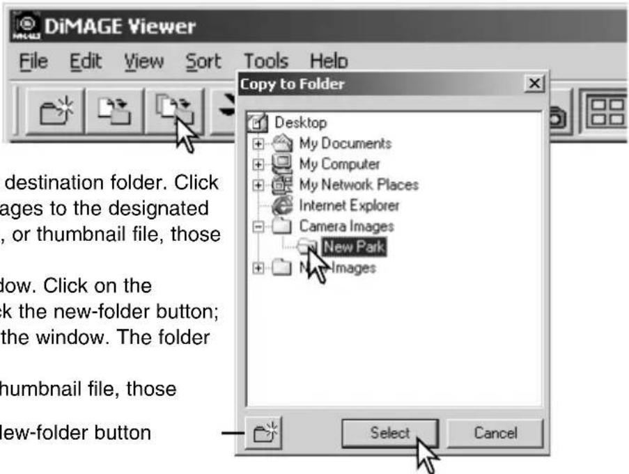 DiMAGE Viewer File Edit View Sort Tools Help Copy to Folder Desktop My Documents My Computer My Network Places Internet Explorer Camera Images New Park New Images Select Cancel destination folder. Click ages to the designated , or thumbnail file, those low. Click on the k the new-folder button; the window. The folder numbail file, those ew-folder button