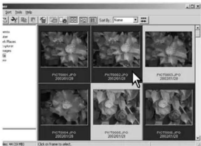 Sort Tools Help Sort By: Name works arr rk Places Explorer pages 18 info PICT0001.JPG 2002/01/29 PICT0002.JPG 2002/01/29 PICT0003.JPG 2002/01/29 PICT0004.JPG 2002/01/29 PICT0005.JPG 2002/01/29 PICT0006.JPG 2002/01/29 Best: 44 (19 MB) Click on frame to select.