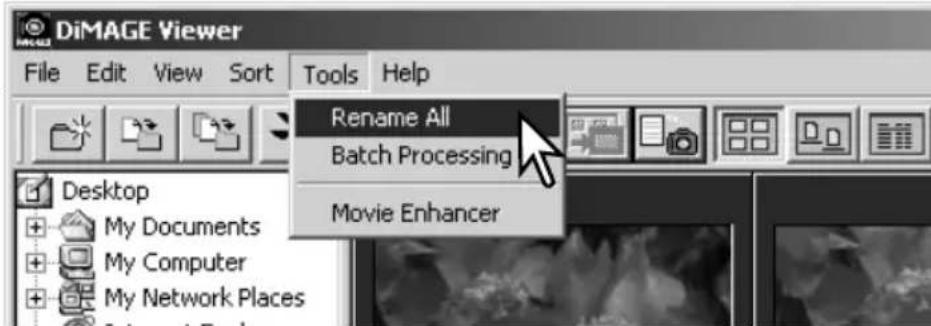 DiMAGE Viewer File Edit View Sort Tools Help Rename All Batch Processing Movie Enhancer Desktop My Documents My Computer My Network Places