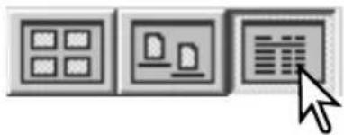 MINOLTA Dimage 7Hi - Changing the display format - 4