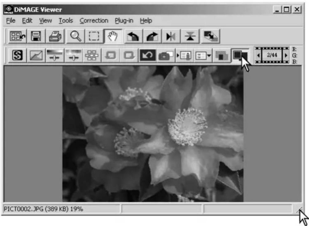 DiMAGE Viewer File Edit View Tools Correction Plug-in Help 2/44 PICT0002.JPG (389 KB) 19%