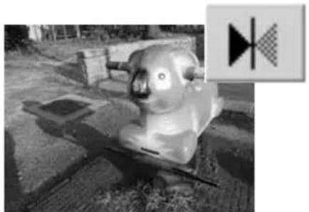 MINOLTA Dimage 7Hi - Flip and rotate images - 5