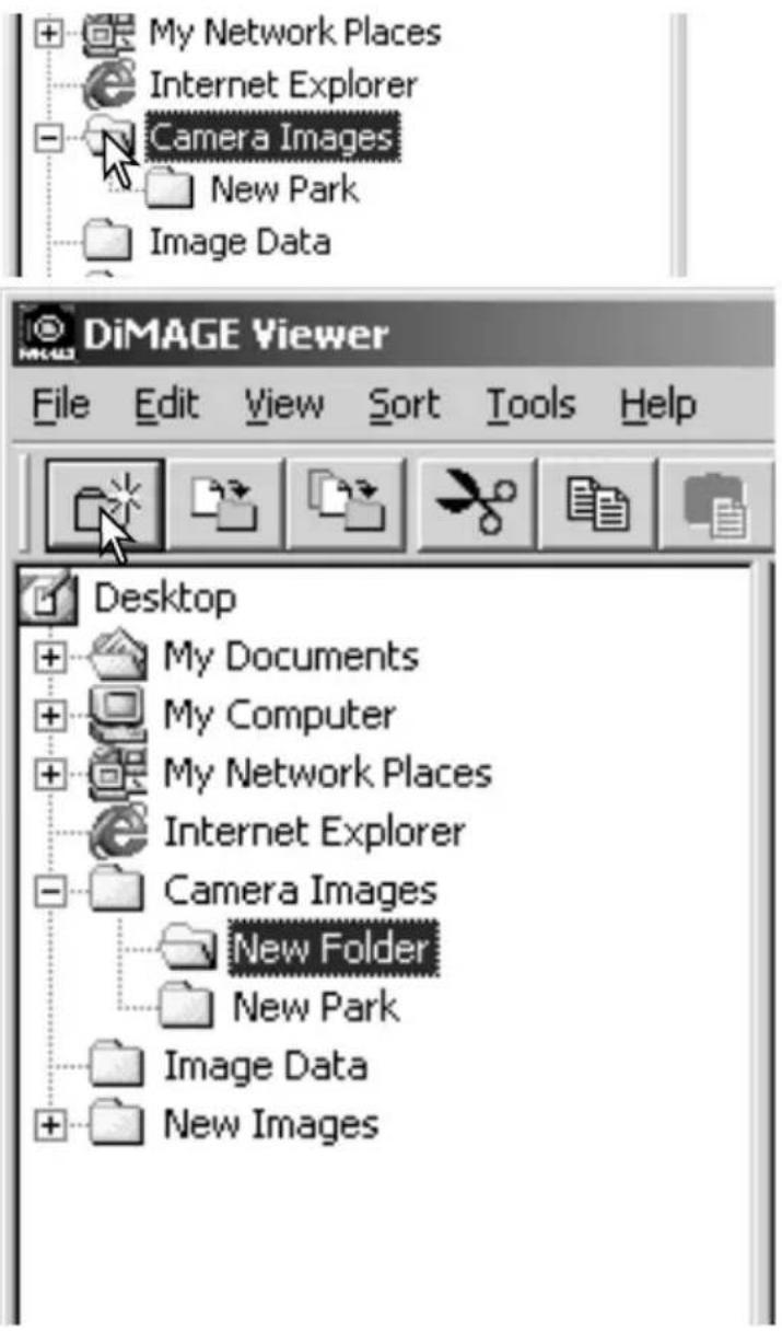 My Network Places Internet Explorer Camera Images New Park Image Data DiMAGE Viewer File Edit View Sort Tools Help Desktop My Documents My Computer My Network Places Internet Explorer Camera Images New Folder New Park Image Data New Images