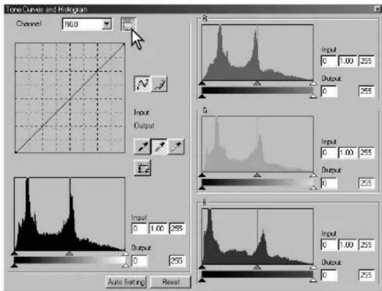 Tone Curves and Histogram Channel RGB Input Output Auto Setting Reset R Input 0 1.00 255 Output 0 255 G Input 0 1.00 255 Output 0 255 B Input 0 1.00 255 Output 0 255