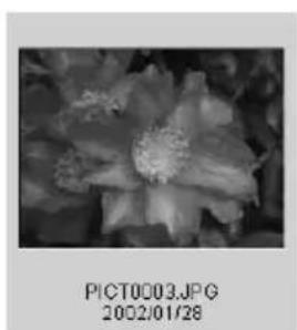 MINOLTA Dimage 7Hi - Changing the thumbnail format - 2