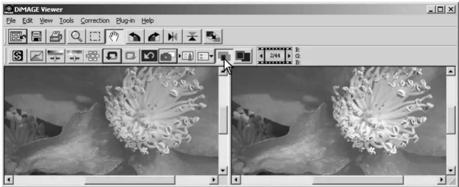 DiMAGE Viewer File Edit View Tools Correction Plug-in Help 2/44 G: B: