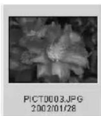 MINOLTA Dimage 7Hi - Changing the thumbnail format - 3