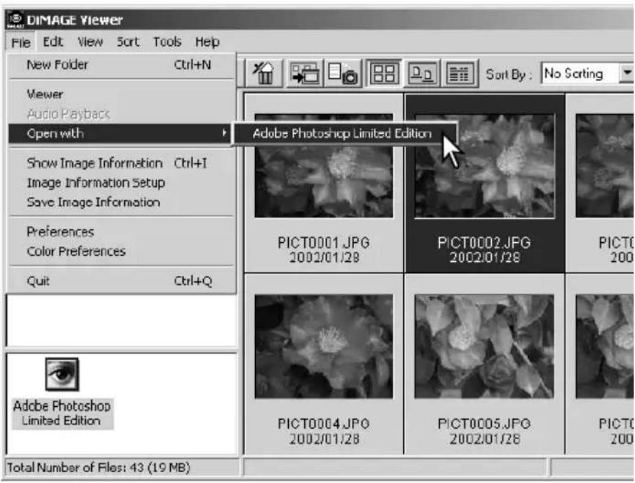 DIMAGE Viewer File Edit View Sort Tools Help New Folder Ctrl+N Viewer Audio Playback Open with Show Image Information Ctrl+I Image Information Setup Save Image Information Preferences Color Preferences Quit Ctrl+Q Adobe Photoshop Limited Edition PICT0001.JPG 2002/01/28 PICT0002.JPG 2002/01/28 PICT0004.JPG 2002/01/28 PICT0005.JPG 2002/01/28 PICT0006.JPG 2002/01/28 Total Number of Files: 43 (19 MB)