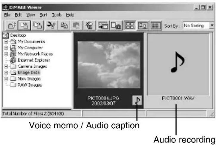 DIMAGE Viewer Edit View Sort Tools Help Sort By: No Sorting Desktop My Documents My Computer My Network Places Internet Explorer Camera Images Image Data New Images RAW Images PICT0004.JPG 2002/03/07 PICT0001 WAV Total Number of Files 2 (501 KB) Voice memo / Audio caption Audio recording