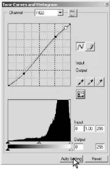 Tone Curves and Histogram Channel RGB Input Output Input 0 1.00 255 Output 0 255 Auto Setting Reset