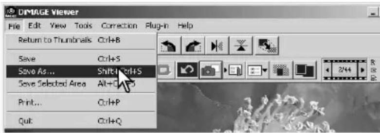 DIMAGE Viewer File Edit View Tools Correction Plug-in Help Return to Thumbnails Ctrl+B Save Ctrl+S Save As... Shift+Ctrl+S Save Selected Area Alt+O+S Print... Ctrl+P Quit Ctrl+Q
