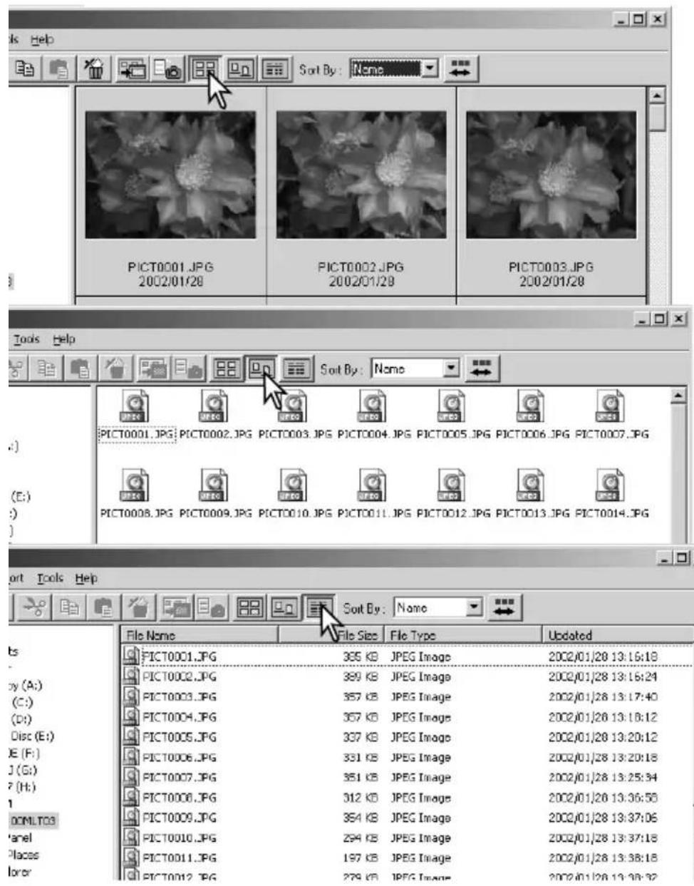 Sort By: None PICT0001.JPG 2002/01/28 PICT0002.JPG 2002/01/29 PICT0003.JPG 2002/01/28 Tools Help Sort By: Name PICT0001.JPG PICT0002.JPG PICT0003.JPG PICT0004.JPG PICT0005.JPG PICT0006.JPG PICT0007.JPG (E:) (P) PICT0008.JPG PICT0009.JPG PICT0010.JPG PICT0011.JPG PICT0012.JPG PICT0013.JPG PICT0014.JPG Sort Tools Help Sort By: None File Name File Size File Type Updated PICT00C1.JPG 355 KB JPEG Image 2002/01/28 13:16:18 PICT00C2.JPG 389 KB JPEG Image 2002/01/28 13:16:24 PICT00C3.JPG 357 KB JPEG Image 2002/01/28 13:17:40 PICT00C4.JPG 357 KB JPEG Image 2002/01/28 13:18:12 PICT00C5.JPG 337 KB JPEG Image 2002/01/28 13:20:12 PICT00C6.JPG 331 KB JPEG Image 2002/01/28 13:20:18 PICT00C7.JPG 351 KB JPEG Image 2002/01/28 13:25:34 PICT00C8.JPG 312 KB JPEG Image 2002/01/28 13:36:58 PICT00C9.JPG 354 KB JPEG Image 2002/01/28 13:37:06 PICT0010.JPG 294 KB JPEG Image 2002/01/28 13:37:18 PICT0011.JPG 197 KB JPEG Image 2002/01/28 13:38:18 PICT0012.JPG 279 KB JPEG Image 2002/01/28 13:39:32