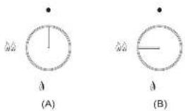 (A) (B)