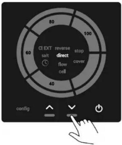 Jandy JSWC100 - Information About the Model and Polarity Switching Frequency - 1