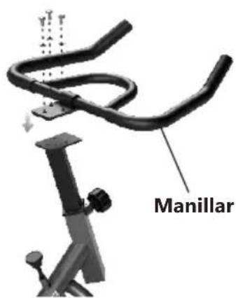 Manillar
