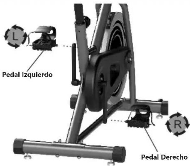 Pedal Izquierdo Pedal Derecho
