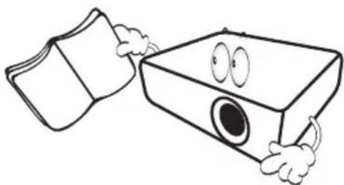 BENQ MS513P - Safety Instructions - 1