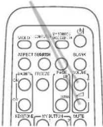 VILD D CONJER AVOCING MOZZARE OR ASPECT BISERTISH BLANK AVOCING FREEZE PAGE VALUE ON DOWN KEYONE MY BUTTON MUTE