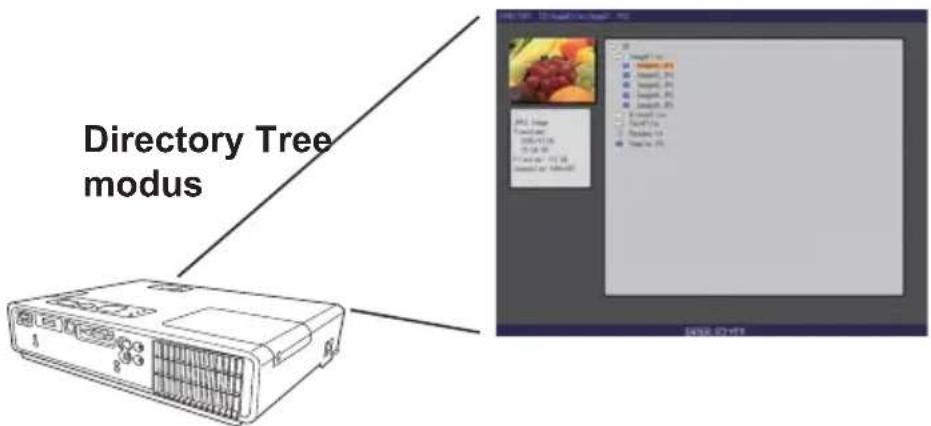 Directory Tree modus