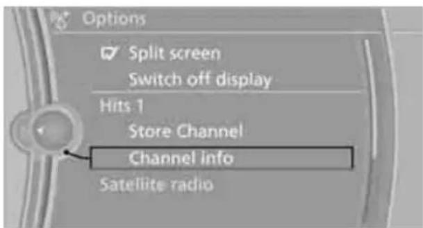 Options Split screen Switch off display Hits 1 Store Channel Channel info Satellite radio