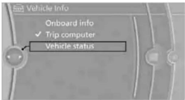 Vehicle Info Onboard info ✓ Trip computer Vehicle status