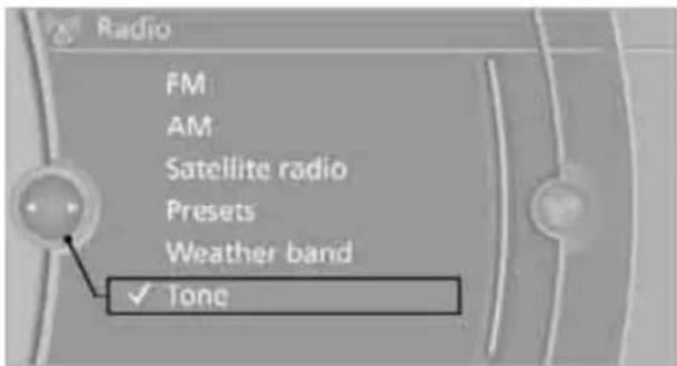 Radio FM AM Satellite radio Presets Weather band ✓ Tone