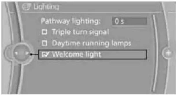 Lighting Pathway lighting: 0 s Triple turn signal Daytime running lamps Welcome light