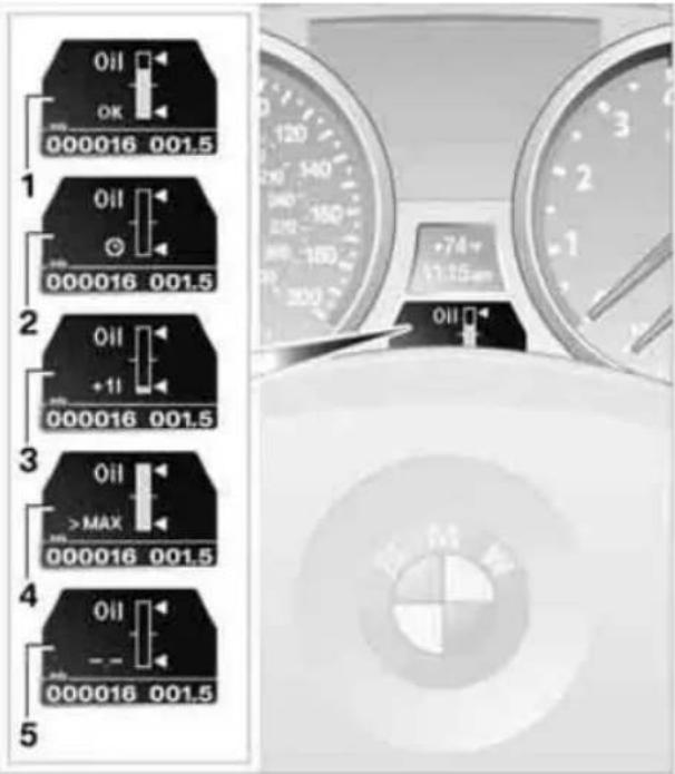 Oil OK 000016 001.5 1 Oil 000016 001.5 2 Oil +11 000016 001.5 3 Oil >MAX 000016 001.5 4 Oil 000016 001.5 5