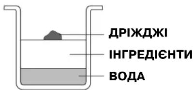 ДРІЖДЖІ ІНГРЕДІЄНТИ ВОДА