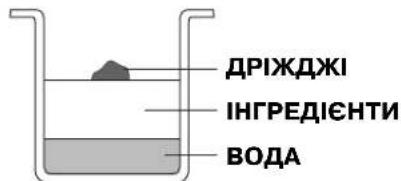 ДРІЖДЖІ ІНГРЕДІЄНТИ ВОДА