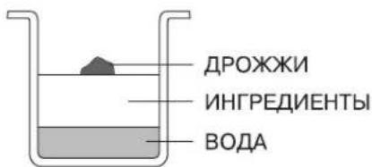 ДРОЖЖИ ИНГРЕДИЕНТЫ ВОДА