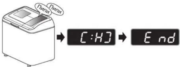 Пипи Пипи C:H] → End