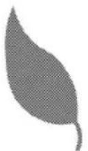 BLOMBERG HKS 81420 E - Please read these instructions before installation or using your appliance! - 1