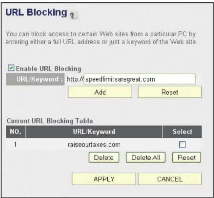 Intellinet 524988 - URL Blocking - 1