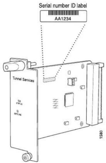 Serial number ID label AA1234 Tunnel Services SNTLS SNTLS 1580