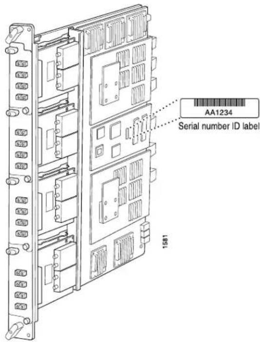 AA1234 Serial number ID label 1581