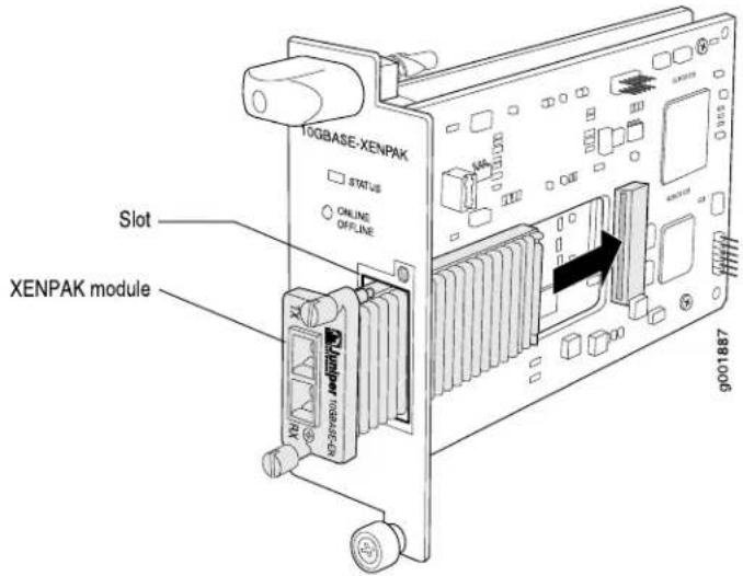 LOGBASE-XENPAK STATUS ONLINE OFFLINE Slot XENPAK module 9001887