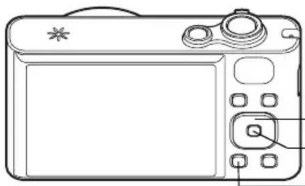 RICOH RZ18 - Setting the Display Language - 1