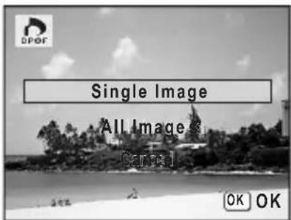 Single Image All Images Cancel OK OK