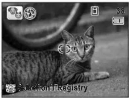 RICOH RZ18 - Taking Pictures of Your Pet (Pet Mode) - 2