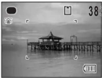 RICOH RZ18 - Press the Green button in mode. - 1