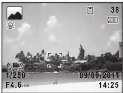 RICOH RZ18 - Press the shutter release button halfway. - 1