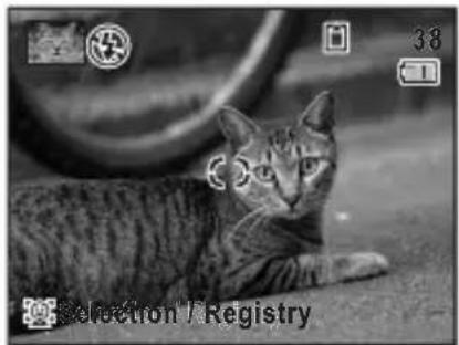 RICOH RZ18 - Press the 😊 button again. - 3