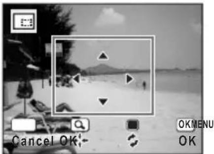 RICOH RZ18 - Choose the cropping area. - 1