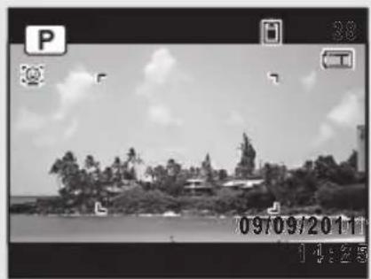 RICOH RZ18 - Selecting the Number of Recorded Pixels - 2