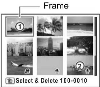Frame ① ② Select & Delete 100-0010