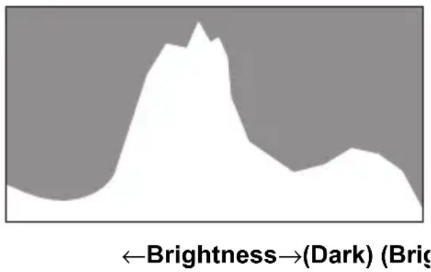 ←Brightness→(Dark) (Brig
